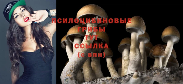 ECSTASY Алексин
