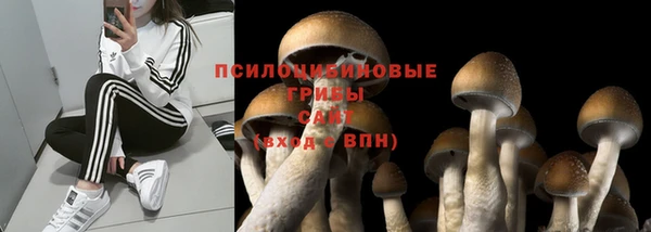 ALPHA-PVP Алексеевка