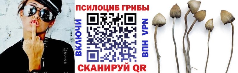 даркнет сайт  Уссурийск  Псилоцибиновые грибы GOLDEN TEACHER 