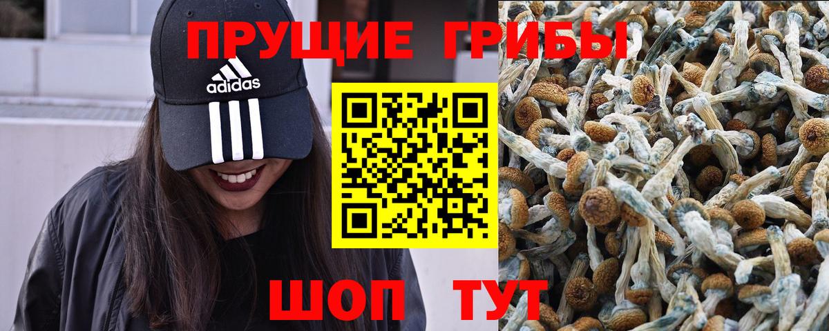 Галлюциногенные грибы прущие грибы Уссурийск