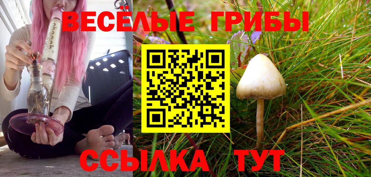 Уссурийск  купить  цена  Вход с VPN  Псилоцибиновые грибы мицелий 